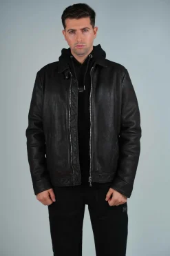 Cuir marron NORIS 2 CARRERA