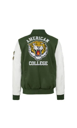 Teddy american college vert